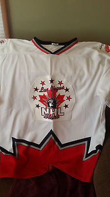 DETROIT RED WINGS DIABETIC CHARITY NELSON EMERSON HOCKEY JERSEY ADULT SIZE XL