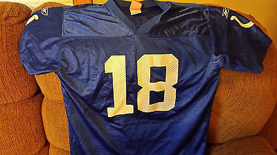 INDIANAPOLIS COLTS PEYTON MANNING NFL PLAYERS FOOTBALL JERSEY SIZE XL YOUTH