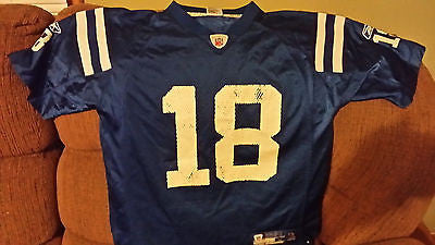 INDIANAPOLIS COLTS PEYTON MANNING FOOTBALL JERSEY SIZE L 14-16 YOUTH