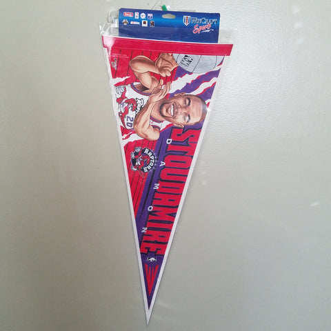 TORONTO RAPTORS DAMON STOUDAMIRE VINTAGE FELT PENNANT WITH HOLDER