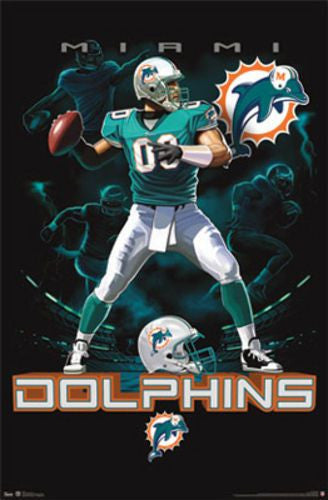 MIAMI DOLPHINS QUARTERBACK 22 X 34 INCH POSTER